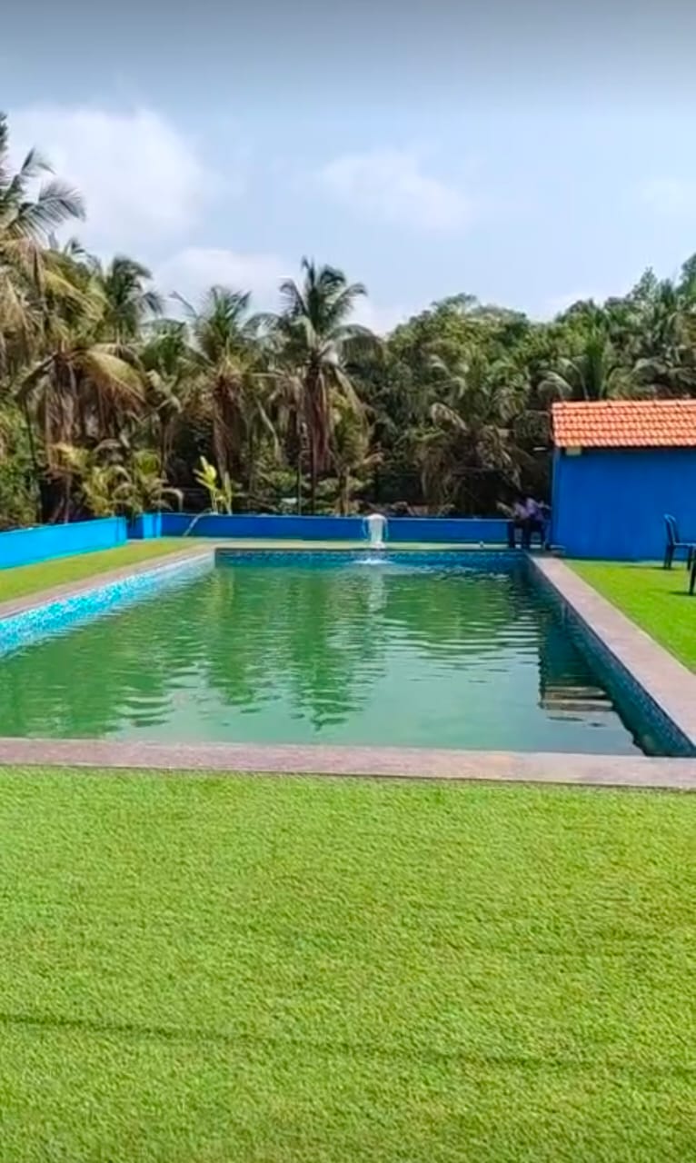 Plunge Lap Pool